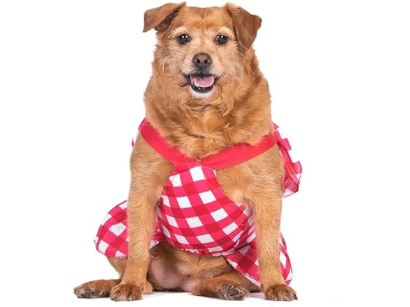 The Dodo Red Plaid Dress for Dogs