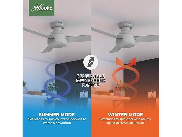 Hunter Fan 44" Ceiling Fan w/ 3-Blades