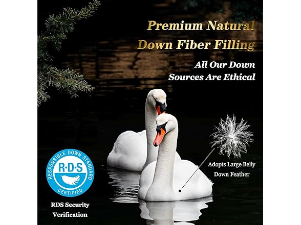 THX9ZRNM Goose Down Queen Comforter