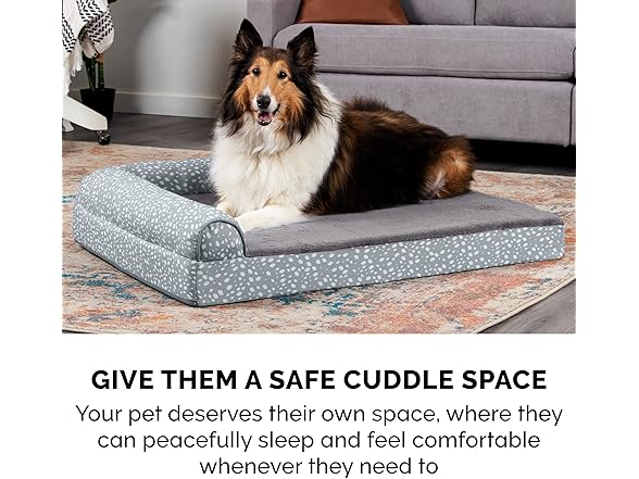 Furhaven Memory Foam Dog Bed for Medium/