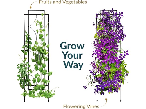 Sunnydaze 2-Piece Chic Diamonds Garden Trellis