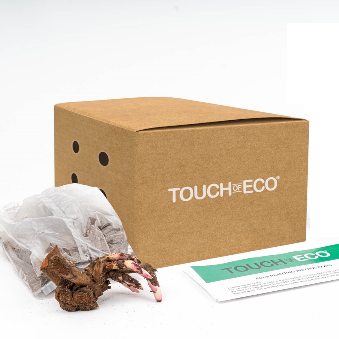 Touch Of ECO Mixed Peonies - Choose Qty - Gallery 12