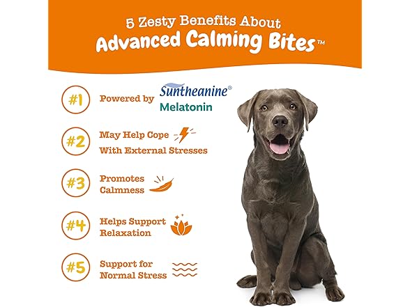 Zesty Paws Calming Chews Dogs 90ct