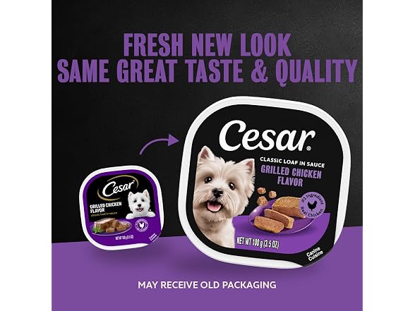 24CT Cesar Classic Loaf in Sauce Adult Wet Dog Food