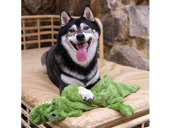 Best Pet Supplies Squeaky Dog Toys with Soft