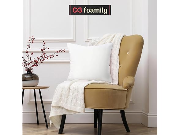 Foamily Throw Pillow Inserts 18 x 18 Inch