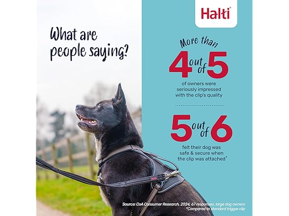 Halti BRIG Safety Dog Leash - Color-Coded Dog Leash