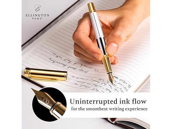 Luxury Fountain Pen Set