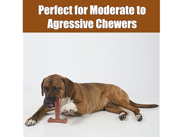 SPOT Bam-Bones Plus Coffee Wood T-Bone Dog Chew Toy, Beef
