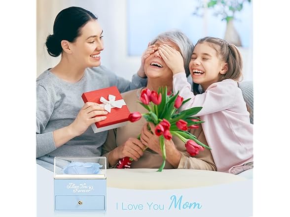 WILDLOVE Preserved Real Light Blue Rose
