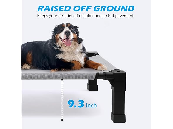 Heeyoo Elevated Dog Bed, Your Choice