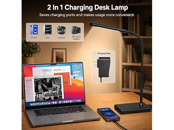 LINTYLE Touch Control Desk Lamp