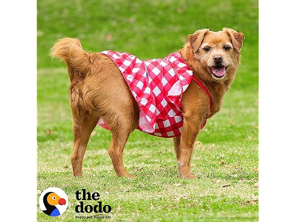 The Dodo Red Plaid Dress for Dogs