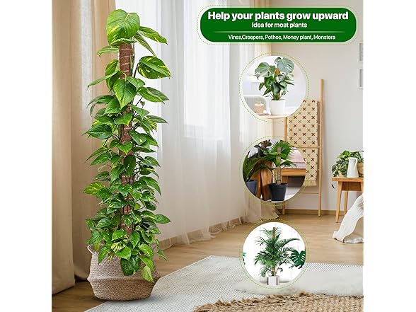 AVELOTUUG Moss Pole for Plants