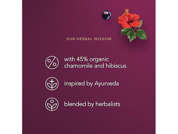 20CT Pukka Organic Night Time Berry Herbal Tea