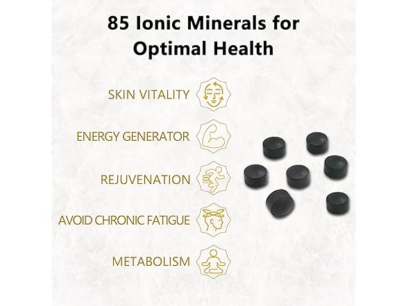 Maximum Potency Pure Shilajit Tablets for Men