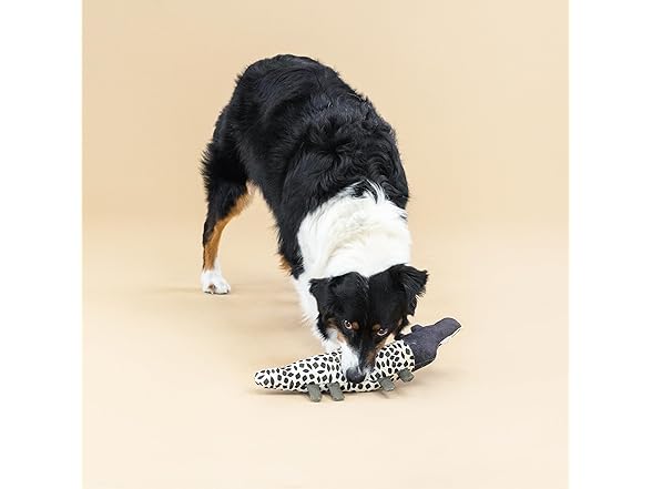 Fringe Studio "Croc My World Canvas Dog Toy