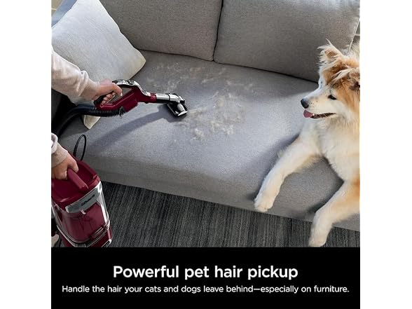 (NEW!) Shark LA492 Lift-Away Upright Vacuum - Gallery 7
