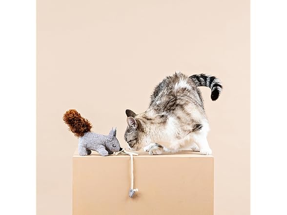 Fringe Studio ONE TUFF NUT Teaser Cat Toy