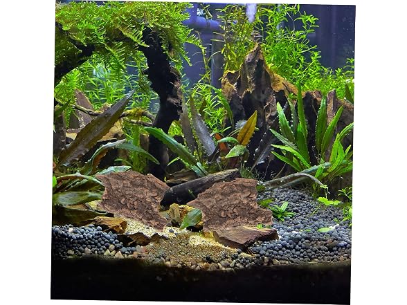10pcs Lizards Decor Small Hide Fish Reptiles