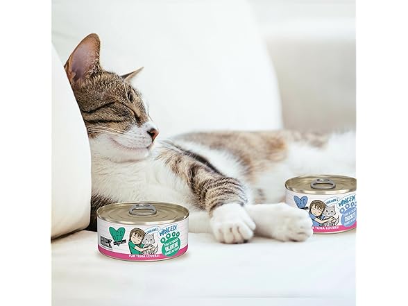 Best Feline Friend Weruva Minced Natural Wet Food