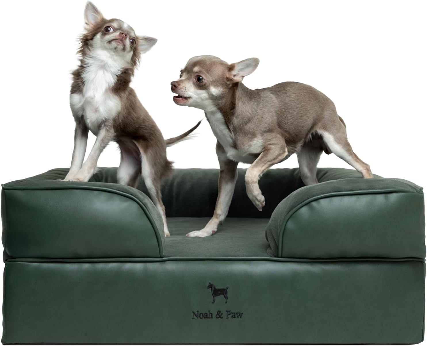 NOAH & PAW Dog/Cat Sofa- Medium - Gallery 13