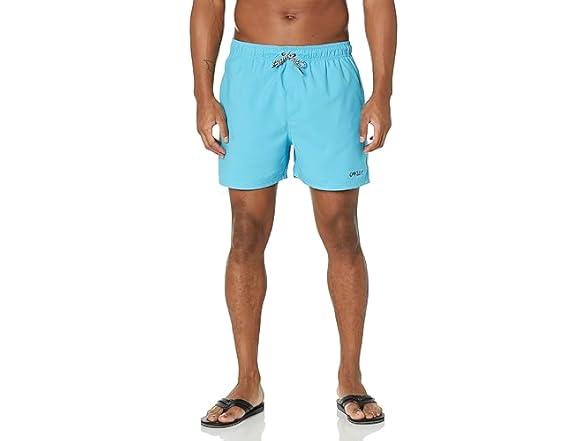 Oakley Mens Beach Volley Beachshort (L)