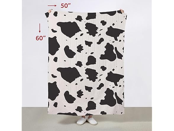 Sunbeam Heated Faux Fur Throw Blanket