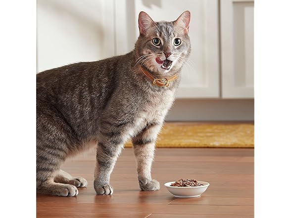 24PK Meow Mix Tender Favorites Poultry & Beef