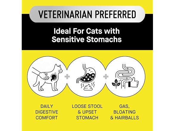 Koby Cat Probiotics | Daily Digestive Support
