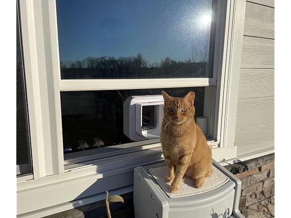 Custom Cat Door Window Insert