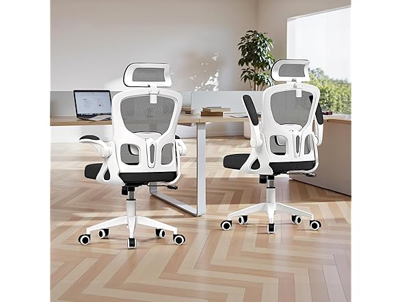 FINATI Ergonomic Office Chair