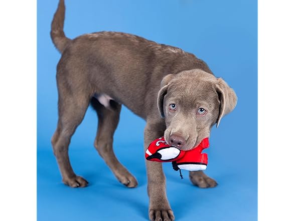 Fringe Studio Plush Dog Toy, 3 Pieces Set, Basket