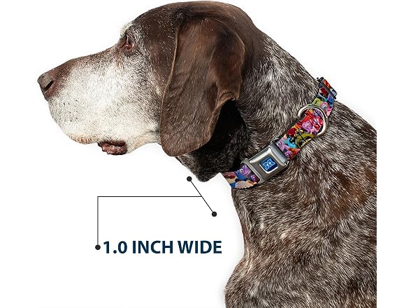 Buckle-Down Dog Collar Seatbelt Buckle Monsters Univerisity