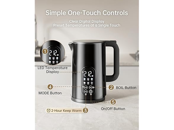 Electric Kettle with Temperature Control