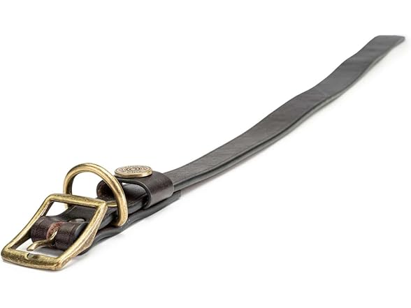 King Buck Premium Leather D Ring Dog Collar