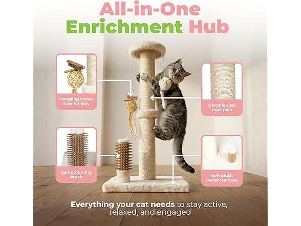 Best Pet Supplies Catify Cat Scratcher