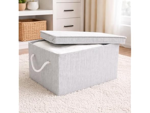 Sukkri Gray Storage Bins with Lids 2 PK