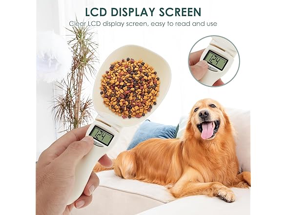 Electronic Measuring Spoon