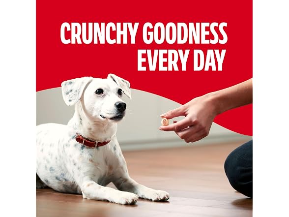 Milk-Bone MaroSnacks Dog Treats, 38 Ounce Refill