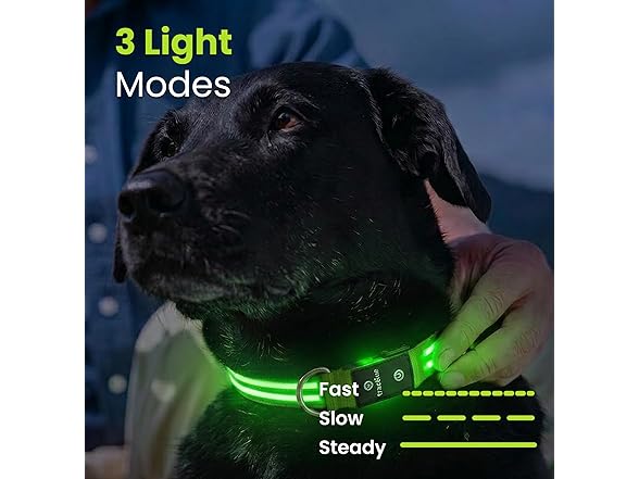 Tractive LED Light Up Dog Collar USB Rechargeable (Green)