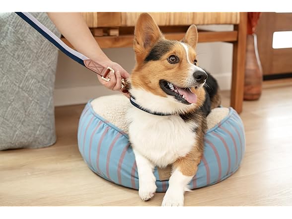 HARRY BARKER Duo Dog Leash and Collar