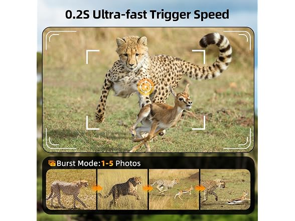 BoxLegend Solar Trail Camera WiFi 4K 60MP