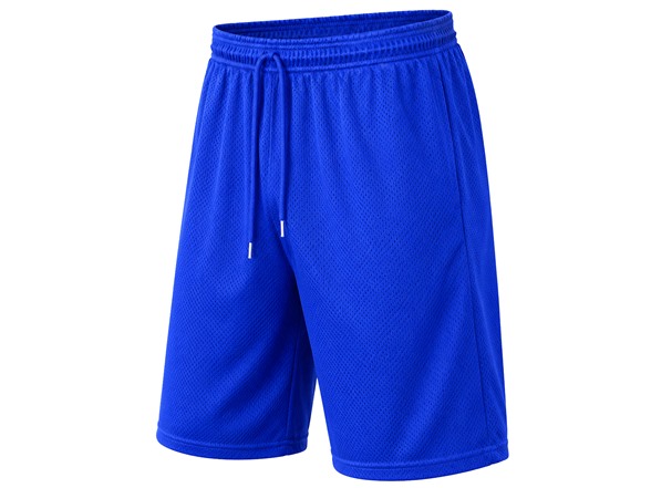 5Pk Asst Mens Active Mesh Shorts