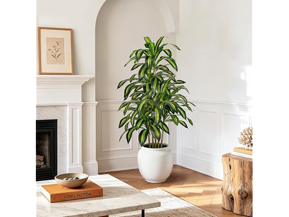 LuceAlberi 5FT Artificial Dracaena Tree