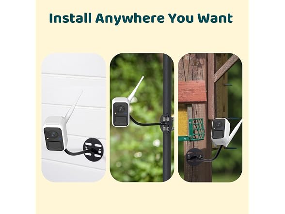 NETVUE Birdfy Bird Camera for Feeder