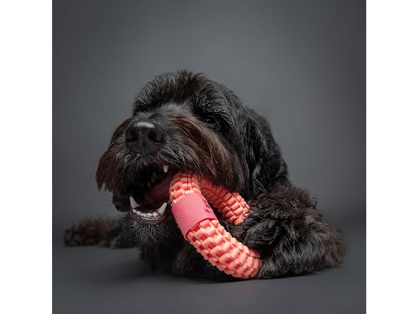 NOAH & PAW Luxury Dog Toy, TPU- Ring, Pink