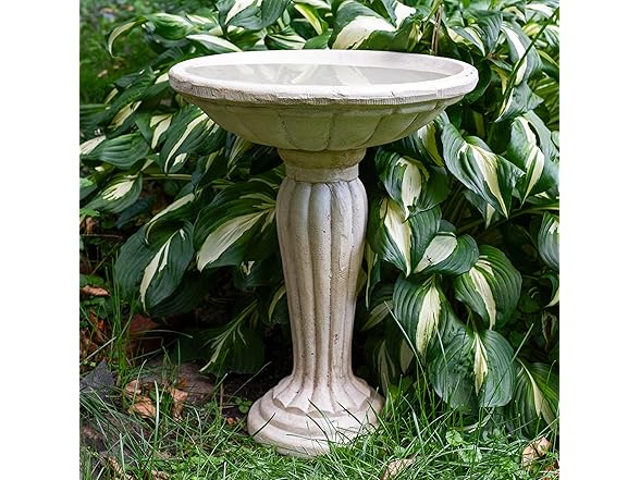 Sunnydaze 20.25” H Concrete Bird Bath Antique White