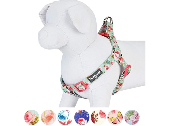 Blueberry Pet Essentials Step-in Spring Scen