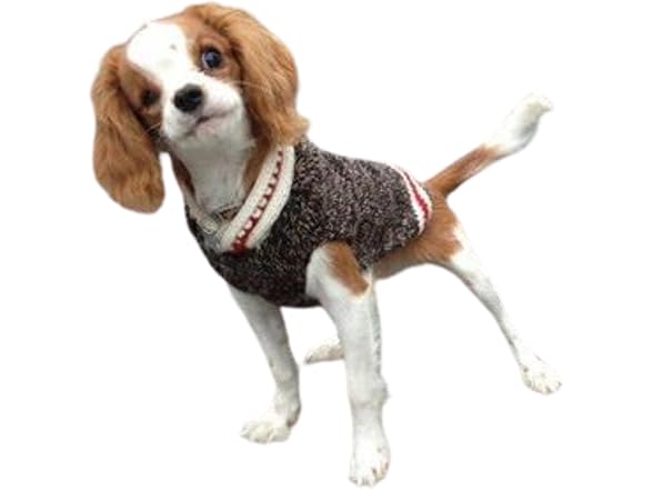 Chilly Dog Boyfriend Dog Sweater (X-Large)